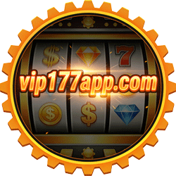 vip177